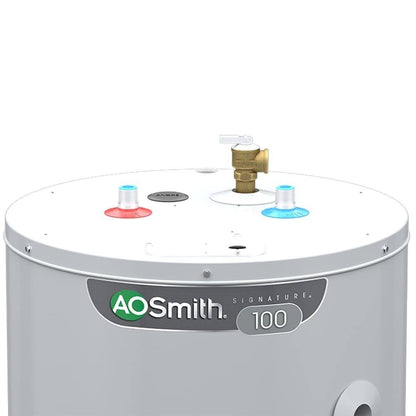 A.O. Smith Signature 100 50-Gallon Short 6-Year Warranty 4500-Watt Double Element Electric Water Heater | E6-50R45D TTP