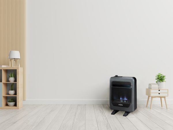 Bluegrass Living Propane Gas Vent Free Blue Flame Gas Space Heater With Base Feet – 10,000 BTU, T-Stat Control – Model# B10TPB-B